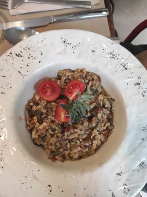  at La Casa Viva in Valencia