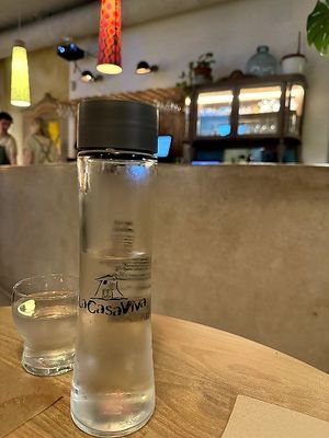  at La Casa Viva in Valencia