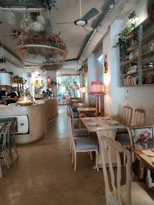  at La Casa Viva in Valencia