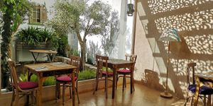 Jardin interno at La Casa Viva in Valencia