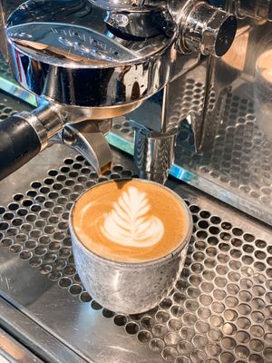  at Kaatje's Bakery Cafe in Bergen