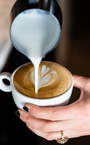  at Kaatje's Bakery Cafe in Bergen