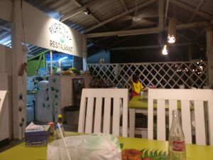 Pure joy at Pure Joy in Koh Phangan