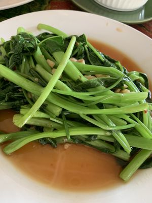 Morning glory at Pure Joy in Koh Phangan