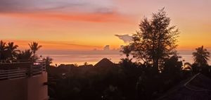  at Barracuda Restaurant at Darawan - Maybe closed in Koh Tao