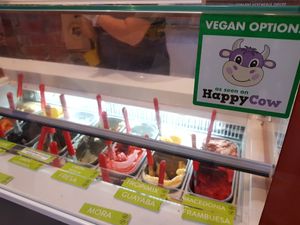 All the vegan options at Gelati Gelati in Bilbao