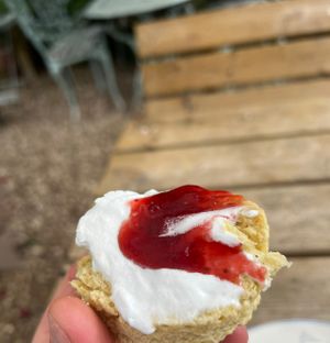   at Kitnors in Minehead