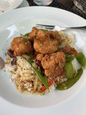 General Taos cauliflower bowl    at Lily's Dayton in Dayton