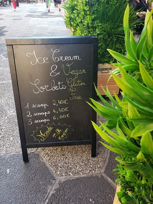 Street Sign at Copper Branch in Nice