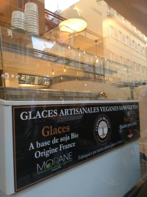 Gelato at Copper Branch in Nice