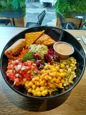 Aristotel Bowl big at Copper Branch in Nice