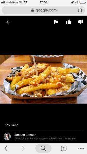 Poutine 
Canadian Fries with Aged cheese and hot brown gravy at Kruimig in Wageningen