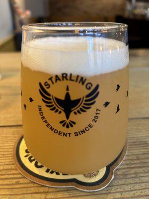 IPA   at Starling in Harrogate