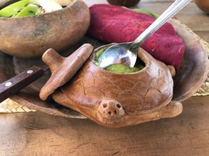 This tortuga come bearing guacamole. at CocoFam in Puerto Escondido