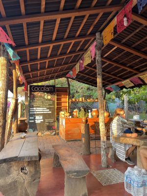 Cocofam at CocoFam in Puerto Escondido