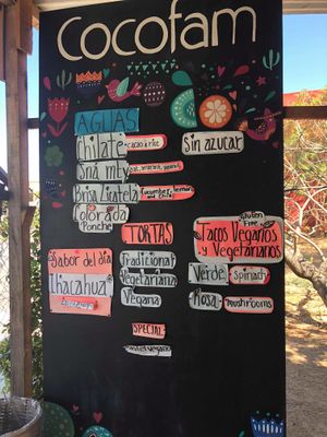 Flavoured waters and Mexican Food options at CocoFam in Puerto Escondido