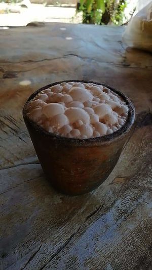 CHILATE 
CACAO & RICE
 at CocoFam in Puerto Escondido