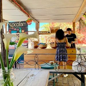 💚TRADICIONAL ENERGY DRINKS

💚VEGAN TACOS

💚VEGAN CAKES at CocoFam in Puerto Escondido