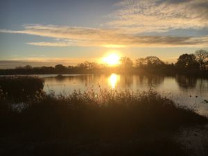View from the Coal House Cafe over Woodberry Wetlands - amazing to be wildlife reserve in central London, thanks to London Wildlife Trust who offer free access to everyone at The Coal House Cafe in North London