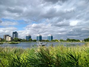 View at The Coal House Cafe in North London