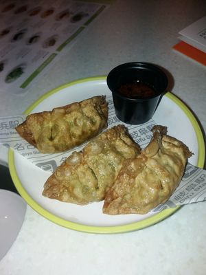 Vegetable Gyoza at YO! Sushi in Liverpool