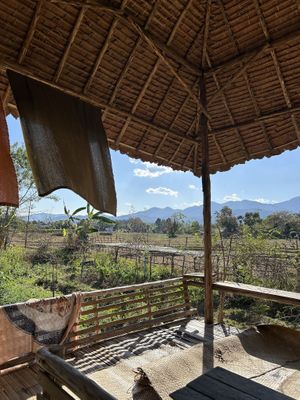 Outside seating😍  at Thai Zen Farm in Pai