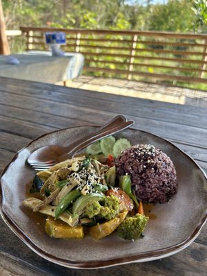 Penang curry  at Thai Zen Farm in Pai