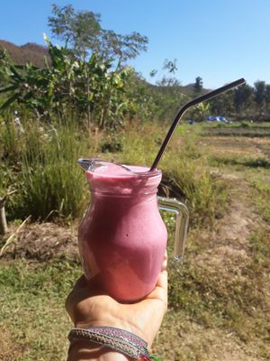 dragonfruit mango banana coconut yogurt shake at Thai Zen Farm in Pai