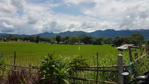 The view at Thai Zen Farm in Pai