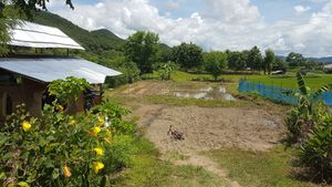 The entrance at Thai Zen Farm in Pai