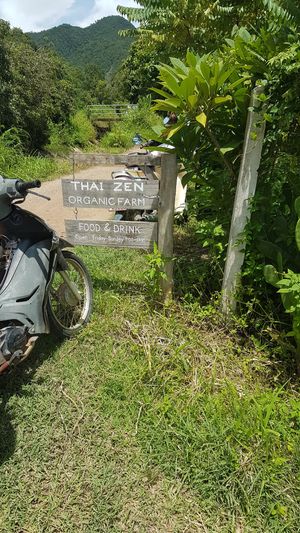 Entrance sign from the other side at Thai Zen Farm in Pai