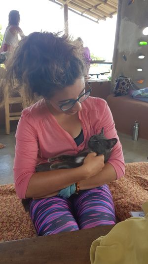 The ever so friendly cat at Thai Zen Farm in Pai