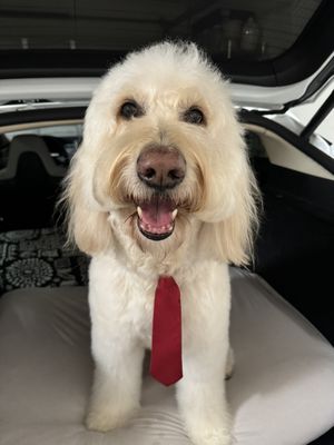   at Krakatoa  in Hollywood