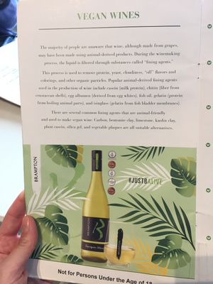 Why wine isn’t always vegan  at Balducci in Cape Town