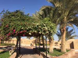 Walkway to hotel room with fragrant flowers. at Movenpick in El Quseir