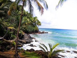 Havaizinho, one of the treasures of itacare at Casa Kombar in Itacare