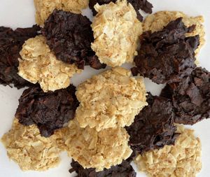 Hi Fiber, yummy coconut macaroons at Glacier Juice and Wellness in Kalispell