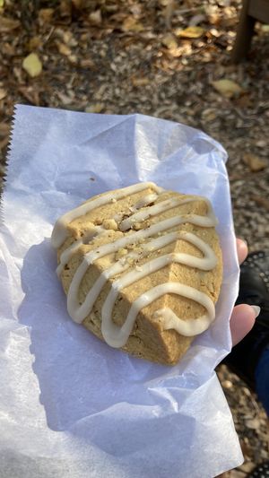 Vegan maple walnut scone   at Knockbox Cafe in Philadelphia