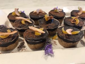 Vegan, Gluten Free Bliss Tarts ❤️ at The Old Mill Cafe in Tairua