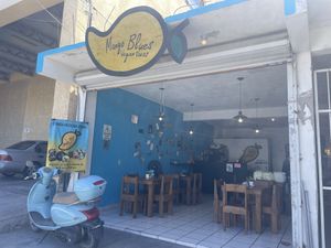   at Mango Blues in La Paz