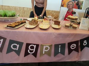 stall at Vegan Summerfest 2019 Ghent, BE at Magpies  in Bruges