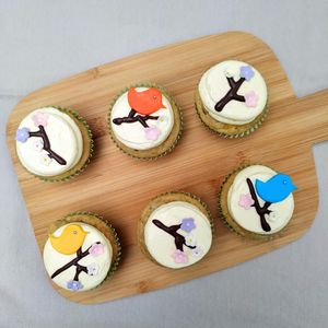 Cupcakes in thema vogel at Magpies  in Bruges