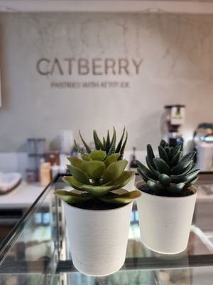 Counter/ Catberry Pastries with attitude at Catberry in Ghent