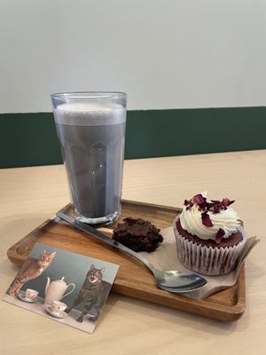   at Catberry in Ghent