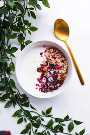  at Catberry in Ghent