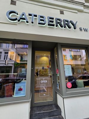 Front / entrance at Catberry in Ghent
