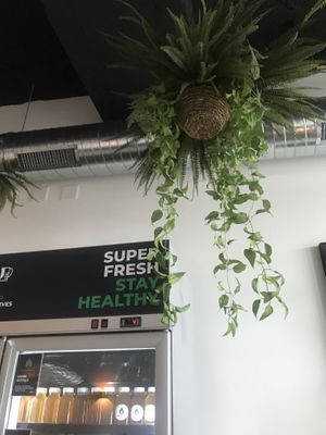 lots of greenery🌿 at Green Gorilla in Lausanne