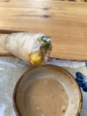 Fresh spring rolls  at Sunshine Vegan Restaurant in Berlin
