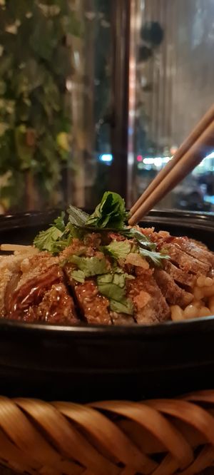 Fake duck (doesn't taste like duck) at Sunshine Vegan Restaurant in Berlin