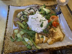 Rice with mushroom sauce and vegan duck, chicken and tofu: too salty  at Sunshine Vegan Restaurant in Berlin